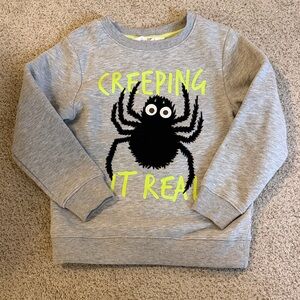 H&M Gray Spider Graphic Kids Sweatshirt Size 5/6